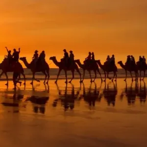 Camel safari - famous camel safari on Broom's Cable Beach at sunset with camels reflecting on wet beach - Cable Beach, Broome, Western Australia, Australia Camel safari - famous camel safari on Broom's Cable Beach at sunset with camels reflecting on wet beach - Cable Beach, Broome, Western Australia, Australia