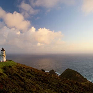 Cape Reinga northernmost tip of New Zealand with Cape Reinga Lighthouse in first morning light Northland, North Island, New Zealand