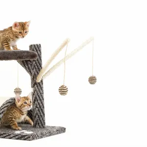 Cat - 8 week old Bengal kittens - on activity centre / scratching post