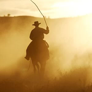 Cattleman riding Quarter / Paint Horse at sunset. Ponderosa Ranch - Seneca - Oregon - USA