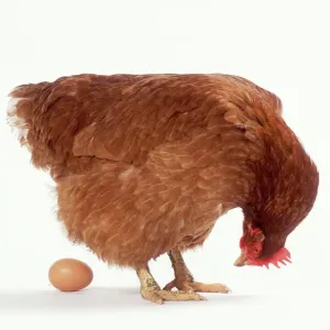 Easter