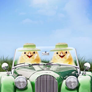 Two chicks driving green sports car wearing Easter bonnets in spring
