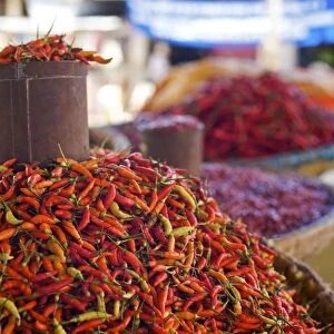 Chilli Tin can - Tomohon Market - N. Sulawesi - minahasa highlands - Indonesia