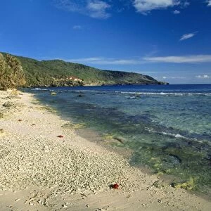 Christmas Island - Indian Ocean - Ethel beach (coral rubble) limestone cliffs & Pandanus