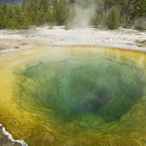 Chromatic Pool - Old Faithful area - Yellowstone NP - USA