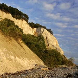 Cliffs of Moen steep chalk cliffs and pebble beach Mons Klint, Moen Peninsula, Denmark