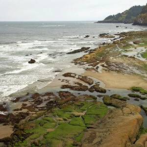 Coast at low tide showing tide pools Lincoln City area, Oregon, USA LA000870