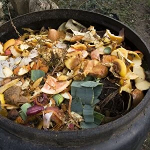 Compost - variety of kitchen waste including vegetable peelings paper and fruit in top of black plastic composting bin