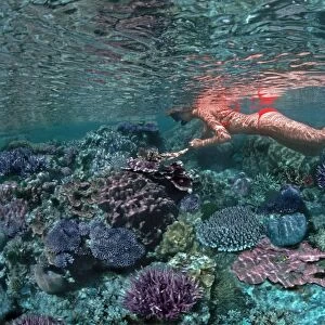 Coral pool - Girl snorkeling in a coral pool in reef around Heron Island Great Barrier Reef, Australia