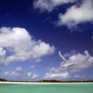 Cosmoledo Lagoon. Seychelles - Indian Ocean