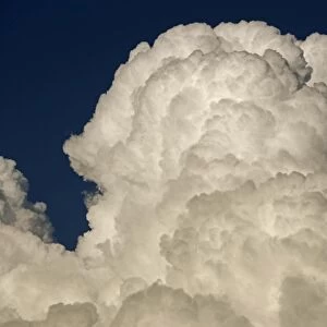 Cumulonimbus Clouds - Arizona - A type of cloud that is tall- dense and involved in thunderstorms and other bad weather - Can form alone-in clusters or along a cold front in a squall line - Forms from cumulus clouds - Typically the clouds that form