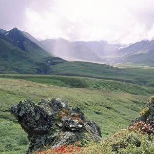 Denali National Park, Thorofare R. Valley, Alaska Range, Alaska USA