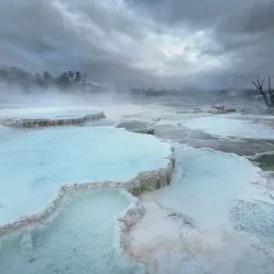 Deposits of travertine colored by thermophilic bacteria, Upper Terraces Mammoth Hot Springs, Yellowstone National Park. Date: 21-09-2019 Deposits of travertine colored by thermophilic bacteria, Upper Terraces Mammoth Hot Springs, Yellowstone National Park. Date: 21-09-2019