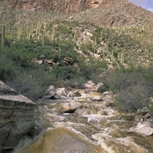 Desert wash flooding near Tucson, Arizona