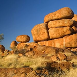 Devils Marbles - a ghost gum tree and three balanced rocks of almost perfect circular shape are located on top of a rock formation, amidst grassy bushland - Devils Marbles Conservation Area, Northern Territory, Australia