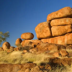 Devils Marbles - a ghost gum tree and three balanced rocks of almost perfect circular shape are located on top of a rock formation, amidst grassy bushland - Devils Marbles Conservation Area, Northern Territory, Australia Devils Marbles - a ghost gum tree and three balanced rocks of almost perfect circular shape are located on top of a rock formation, amidst grassy bushland - Devils Marbles Conservation Area, Northern Territory, Australia