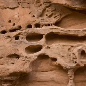 Distinctive erosion patterns in sandstone cliff. Arches National Park, Utah Distinctive erosion patterns in sandstone cliff. Arches National Park, Utah