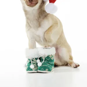 DOG. Chihuahua wearing christmas hat & knitted boots