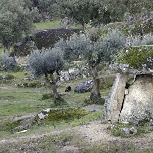 Dolmen Burial Chamber - from Megalithic era, beside San Vincente Alcantara, Extremadura, Spain