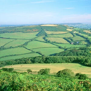 Dorset UK - patchwork farming landscape. View from Golden Gap" 626 ft above sea level, the highest coastal point in south west England