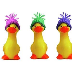 Ducklings - in wooly hats