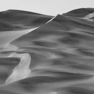 Dune Fields - Namib Desert - Namibia - Africa Dune Fields - Namib Desert - Namibia - Africa