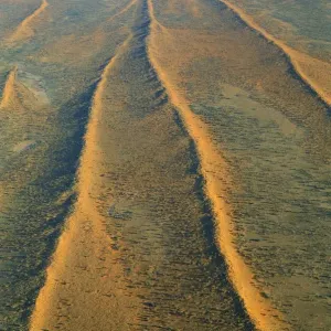 Dunefields (dunes and interdune corridors) Simpson Desert, South Australia JPF41677 Dunefields (dunes and interdune corridors) Simpson Desert, South Australia JPF41677