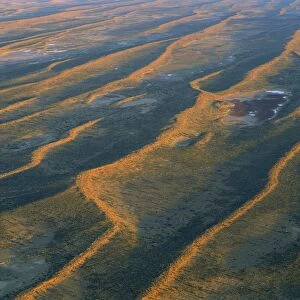 Dunefields, Longitudinal sand dunes over alluvial plain made of clay and gibber Southeast Simpson Desert, South Australia JPF41725