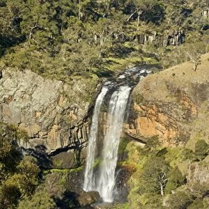 Ebor Falls - upper and lower section of this stunning waterfall which finally plunges into a hugh pool, surrounded by sheer cliffs. The surrounding vegetation is mostly eucalypt forest - Guy Fawkes River National Park, New South Wales, Australia