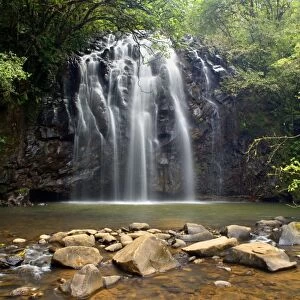 Elinjaa Falls - idyllic waterfall plunges into a pool in lush tropical rainforest. This is one of the three famous waterfalls along the so called waterfall circuit which connects Elinjaa, Zillie and Millaa Millaa Falls - Atherton Tablelands