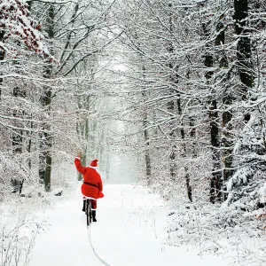 Father Christmas - riding bicycle through beech woodland - coverd in snow and ice Digital Manipulation: Father Christmas