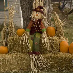 Figure and pumpkins, set up to commemorate Hallowe'en. Cannonville, Utah
