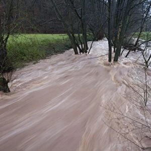 Flash flood - in hill land stream after torrential autumn rain - Lower Saxony - Germany