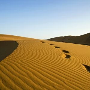 Footprints leading over a dune - Late evening sunlight - Dune Sea - Namib Desert - Namibia - Africa