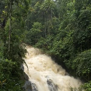 Forest stream in flood during heavy rain - Malaysia cameron highlands