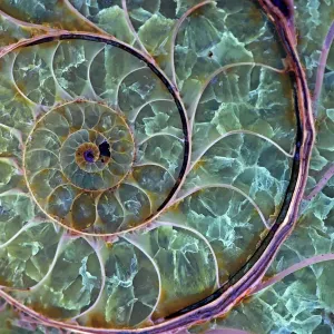 Abstract