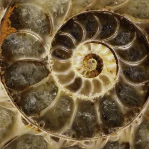 Patterns