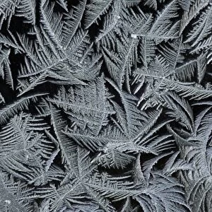 Frost Crystals - On car windscreen Lower Saxony, Germany