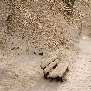 Frosty Winter Scene - deep snow covered winter landscape showing a foot path along a creek and a bench - Swabian Alb - Baden-Wuerttemberg - Germany