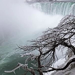 Frozen Trees Overlooing Niagara Falls - Canada