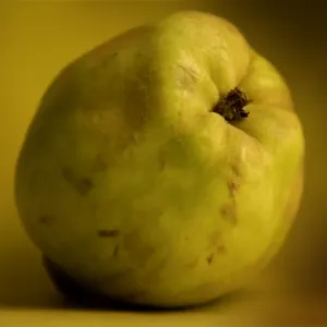 Fruit - Quince Fruit - Quince