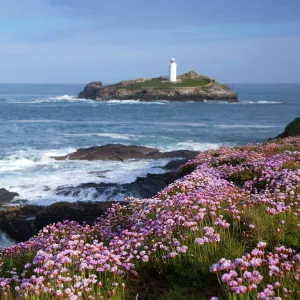 Godrevy Island and Lighthouse - from Gwithian - thrift - Cornwall - UK