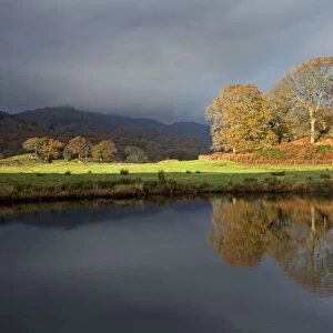Golden reflection in the river Brathey - Elterwater - Lake District