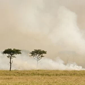 Grass fire - Masai Mara Triangle - Kenya