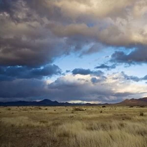 Grasslands and mountains near Portal on the Arizona-New Mexico border on a stormy winter evening