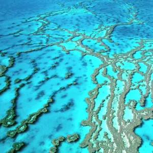 Great Barrier Reef Marine Park - Hardy Reef Queensland, Australia