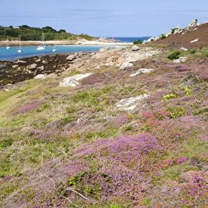 Gugh - St Agnes - Isles of Scilly - UK