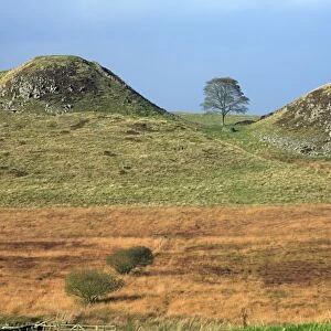 Hadrian's Wall - Sycamore Gap, beside Steel Rig, view from Military Road looking north, Northumberland National Park, autumn, England