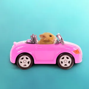 Hamster driving miniature sports convertible car Digital Manipulation: car colour red to pink, background