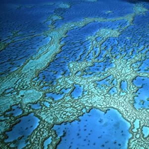Hardy Reef aerial of coral formations, Great Barrier Reef Marine Park (World Heritage Area), Queensland, Australia JPF34083